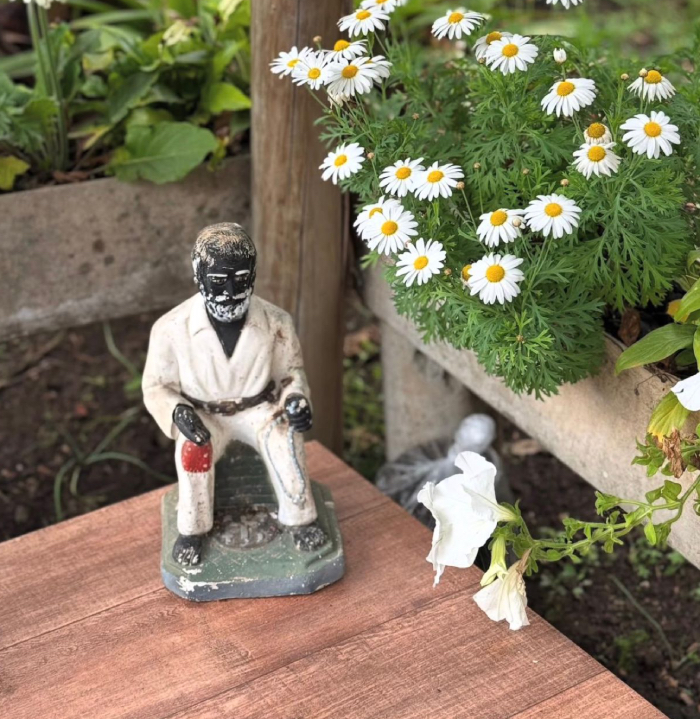 Mestre Alex Mestre Alex